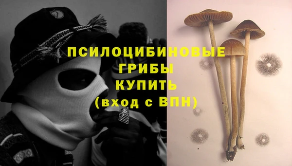 мяу мяу мука Арсеньев