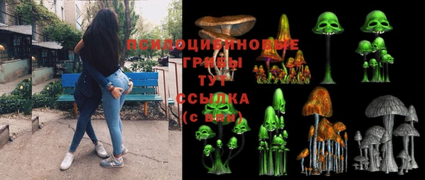 прущая мука Нея