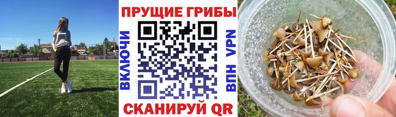 Псилоцибиновые грибы Psilocybine cubensis  где найти наркотики  KRAKEN зеркало  Лиски 